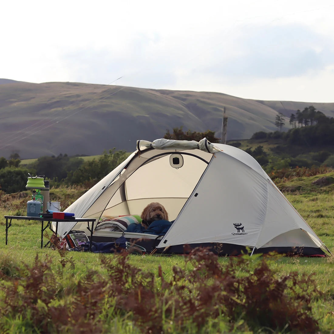 Tent - Qunature – Qunature Global
