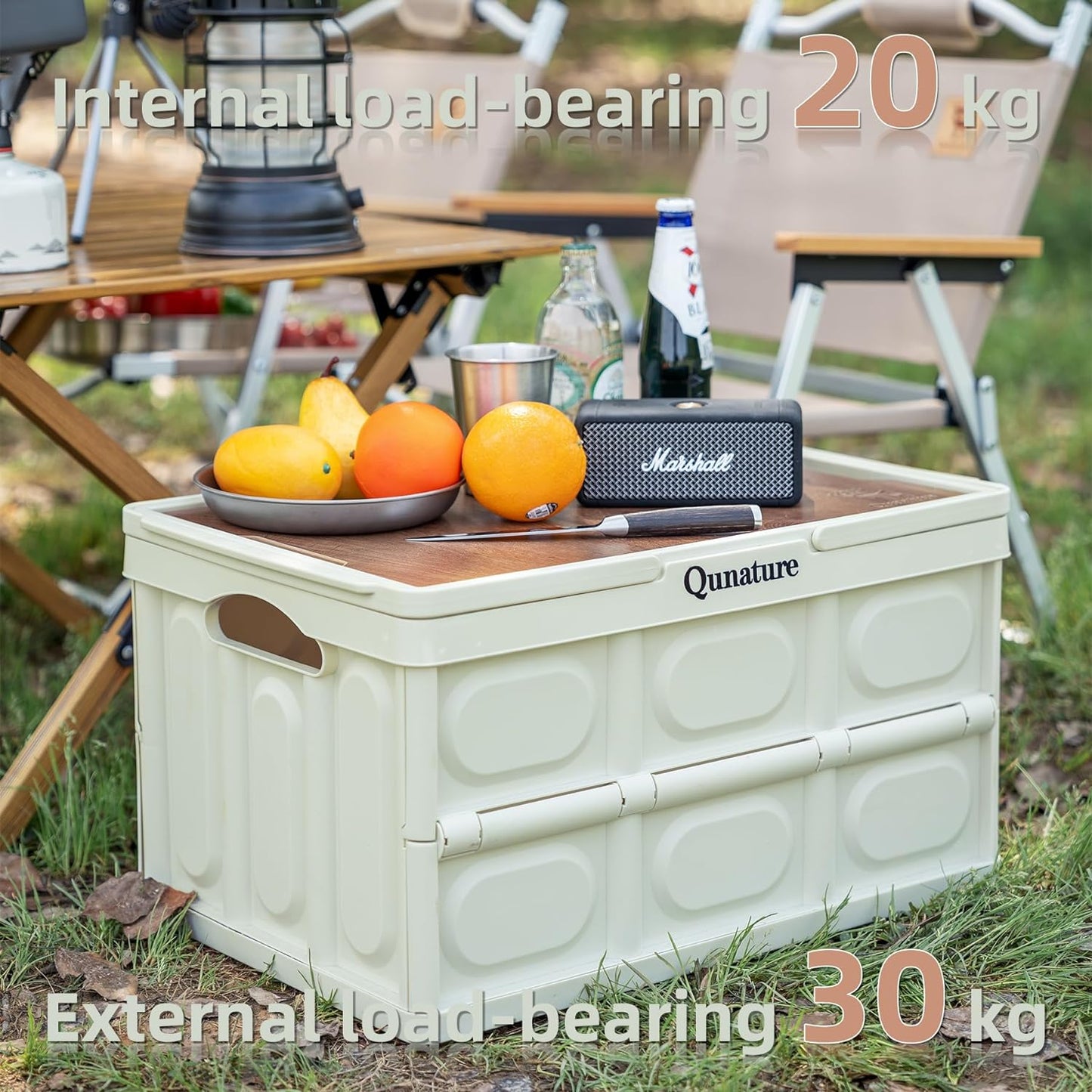 Qunatur Collapsible Storage Bin with Lid and Handle