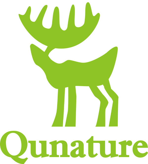 Qunature Global