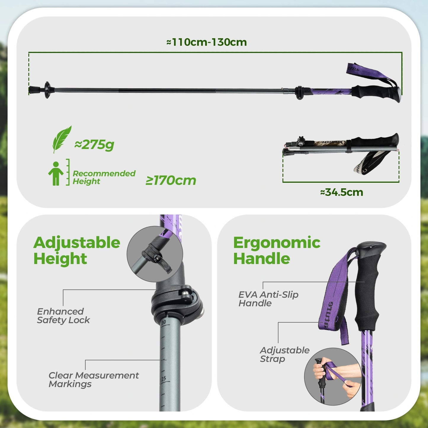 Walking sticks with adjustable height and ergonomic handle features on a white background.