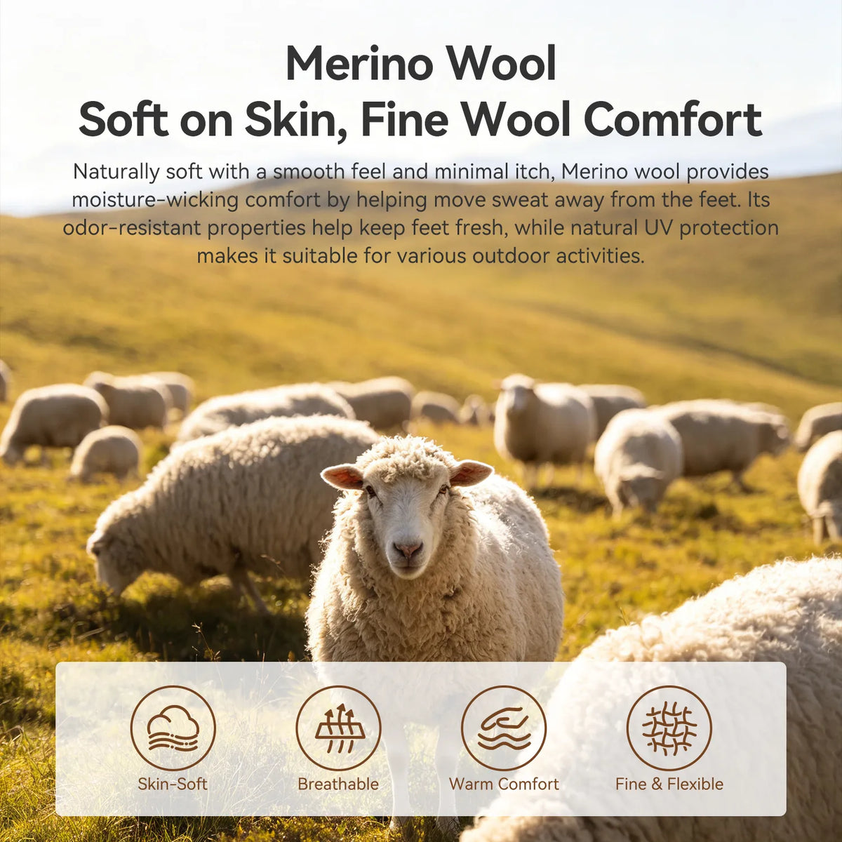 Merino wool bootie or footwear marketing graphic with text about softness and comfort over a herd of sheep in a grassy field. Four feature icons at the bottom read Skin-Soft, Breathable, Warm Comfort, and Fine & Flexible.